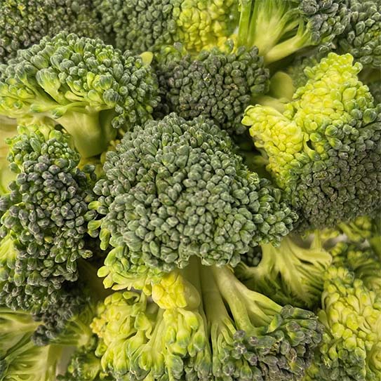 Broccoli Roosjes - Boekel AGF Horecagroothandel