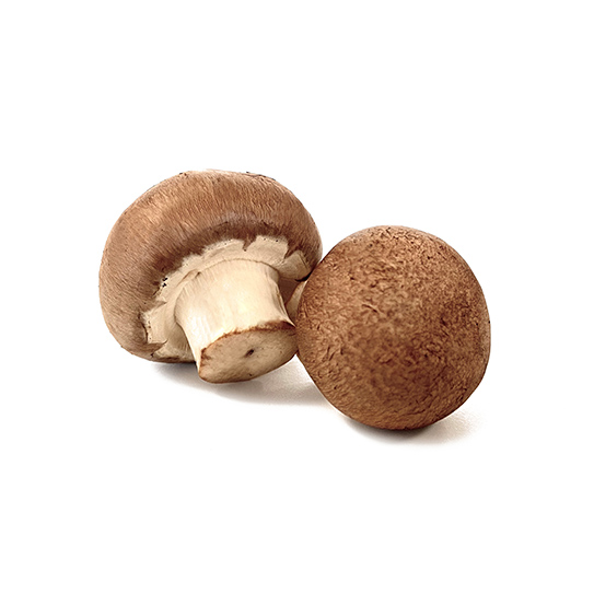 Paddenstoelen - Kastanje champignons - Boekel AGF Horecagroothandel