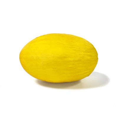 Fruit groothandel - Boekel AGF - Meloen
